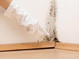 Best Mold Damage Restoration  in Owings, MD